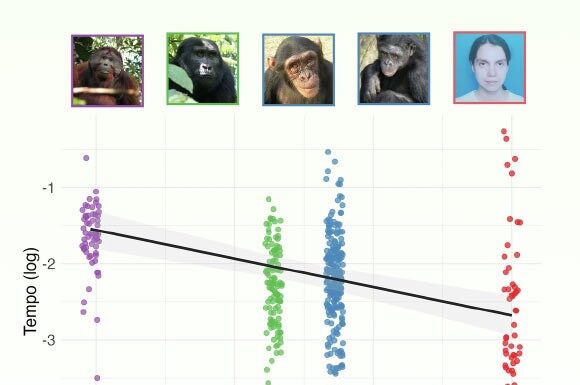 Das 15 Millionen Jahre alte Kichern