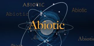 How to Define Abiotic Factors and Why Abiotic Hydrogen Matters