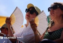 Британія в спеку: затяжна та суха спека