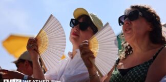 Британія в спеку: затяжна та суха спека