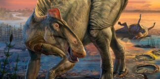 T-Rex era básicamente un adicto a la comida chatarra en Wyoming