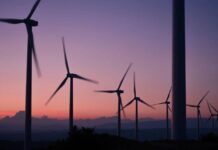 Quiz sull’energia rinnovabile: metti alla prova la tua conoscenza dell’energia eolica, solare e idroelettrica.